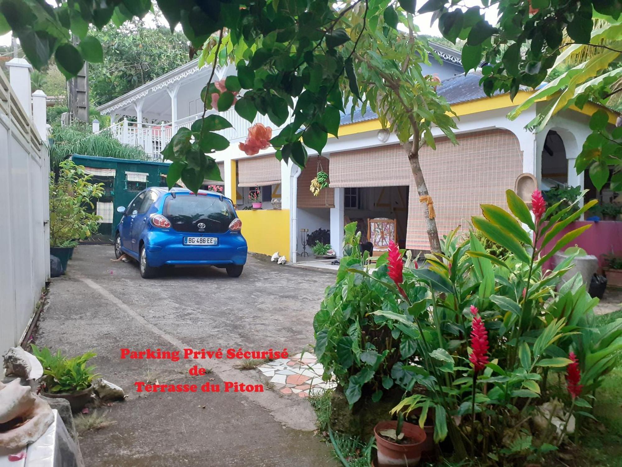 Terrasse Du Piton Bed & Breakfast Deshaies Bagian luar foto
